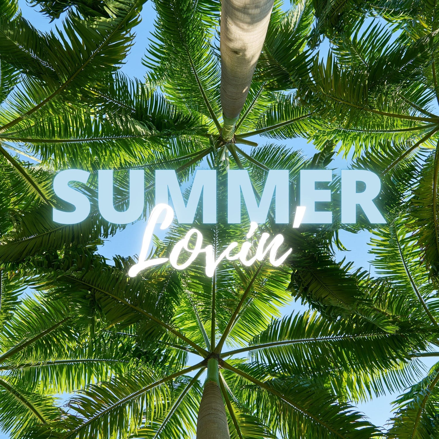 Summer Lovin'